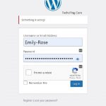 Wp-admin/WordPress log in Issue