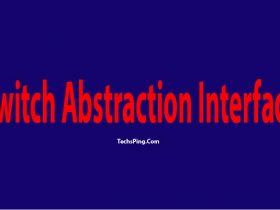 Switch Abstraction Interface